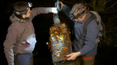 Imagen de Urak Aske - 5