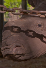 Imagen de Especial Los secretos del zoo: Tampa: Baby boom  - 4