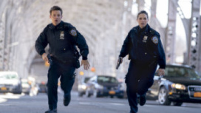 Imagen de Blue Bloods (Familia de policías) (T9) - 5