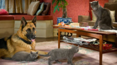 Imagen de Como perros y gatos: La revancha de Kitty Galore - 5