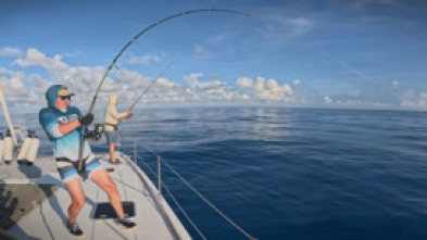 Imagen de Seychelles II - 5