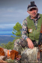 Imagen de El desafío del zorzal en tierras de Jaén - 4