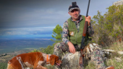 Imagen de El desafío del zorzal en tierras de Jaén - 5