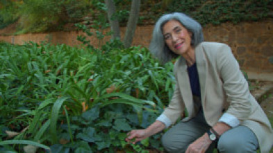 Imagen de Jardines con historia  - 7