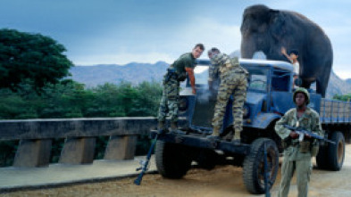 Imagen de Operación elefante - 5