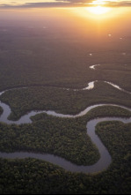 Imagen de Amazonia americana: Bosques recónditos - 9
