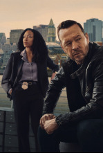 Imagen de Boston Blue (T1): Ep.11 Secretos de familia - 6