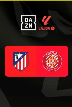 Imagen de Jornada 37: Atlético de Madrid - Girona - 3