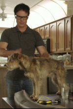 Imagen de Robo-Dog - 4