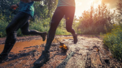 Imagen de Golden Trail... (2026): Quebec - 10