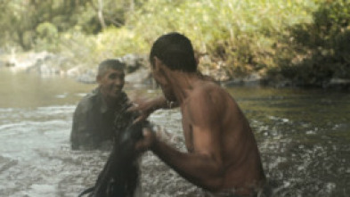 Imagen de Entre perro y lobo - 5