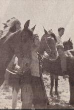 Imagen de Dos mil dólares por Coyote - 4