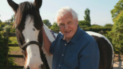 Imagen de Curiosidades de la naturaleza con Attenborough  - 5