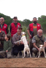 Imagen de Campeonato autonómico de CLM de trabajo para podenco, maneto y orito español - 4