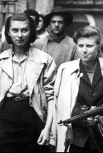 Imagen de Mujeres espías en...: Ep.2 - 4