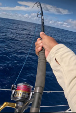 Imagen de Seychelles Expedition Coitibi - 4
