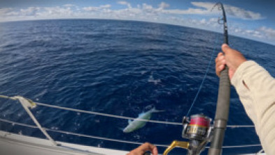 Imagen de Seychelles Expedition Coitibi - 5
