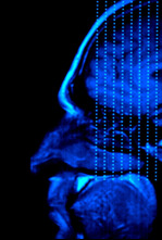 Imagen de El cerebro de Caín  - 13