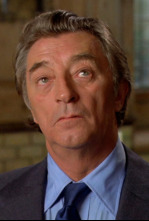 Imagen de Detective privado - 4