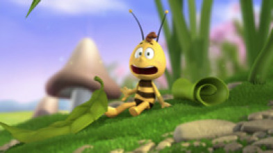 Imagen de La abeja Maya - 5