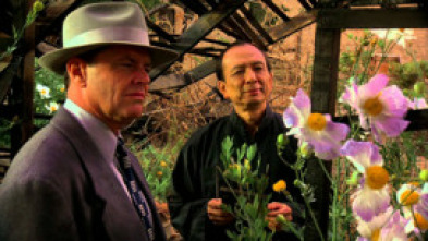 Imagen de Los dos Jakes - 5