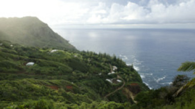 Imagen de Los tiburones de las islas Pitcairn - 7