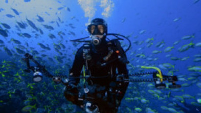 Imagen de Pristine Seas: Protegiendo los mares - 8
