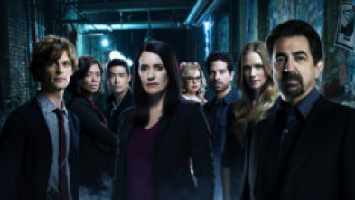 Imagen de Mentes criminales (T13): Ep.1 Despegamos - 9