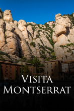 Imagen de Visita Papa a España (T1): Visita Montserrat - 6