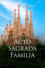 Imagen de Visita Papa a España (T1): Acto Sagrada Família - 6