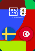 Imagen de Grupo F: Suecia - Túnez - 4