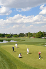 Imagen de World Golf Cup Islas Canarias 2026 - 7