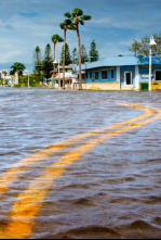 Imagen de En el ojo de la tormenta: Pesadilla antes de Navidad - 6