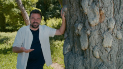 Imagen de Jardines con historia  - 15