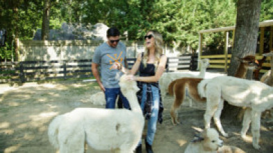 Imagen de Christina in the Country (T1): Ep.4 - 5