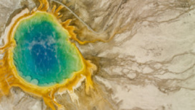 Imagen de Diarios de Yellowstone: Otoño - 5