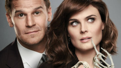 Imagen de Bones (T8): Ep.5 El método en la locura - 5