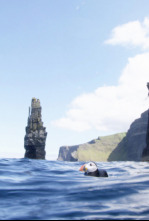Imagen de Atlántico Norte: el...: Explorando en la oscuridad - 13