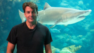 Imagen de Tiburones caníbales - 14