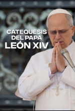 Imagen de Catequesis del Papa Leon XIV - 4