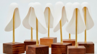 Imagen de Premios de la Academia de la Moda - 7