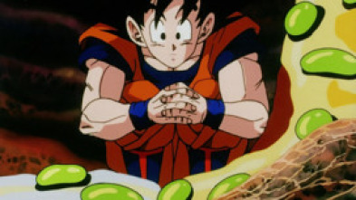 Imagen de Bola de drac Z (T1): Ep.4 Piccolo plays his trummp carp (quand les enemies...) - 5
