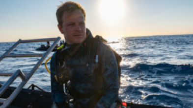 Imagen de Tiburones martillo en primer plano con Bertie Gregory - 6