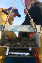 Imagen de Vivir o mar - 4