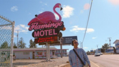Imagen de The mistery of the pink flamingo - 5