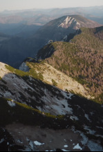 Imagen de El patrimonio natural...: Los retos - 5