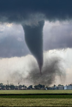 Imagen de En el ojo de la tormenta  - 6