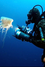 Imagen de Thalassa curts: L'ofici de fer gòndoles - 4
