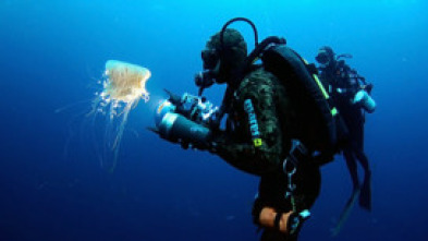 Imagen de Thalassa curts: L'ofici de fer gòndoles - 5