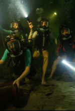 Imagen de A 47 metros 2: El terror emerge - 7